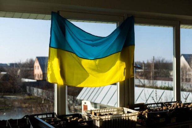 Россиянам начали закрашивать окна в квартирах, чтоб не видели антивоенные протесты. Видео