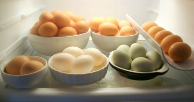 Секрет наших бабусь, про який ви не знали: як зберігати яйця, щоб вони не псувалися два місяці