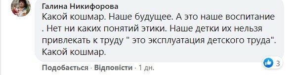 Комментарии. Фото: скриншот facebook/ Светлана Ляшенко