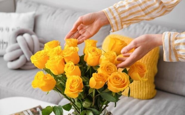 Як доглядати зрізану троянду, фото: youtube.com