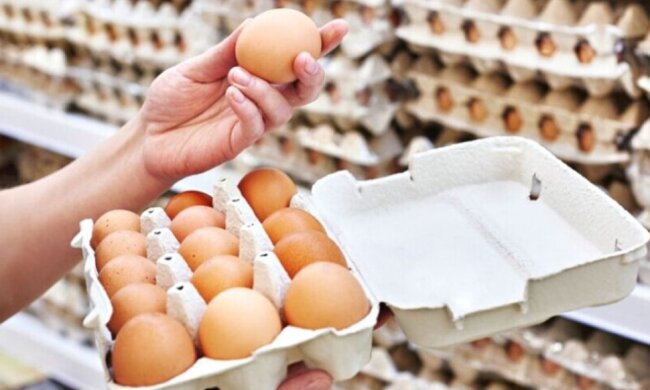 Нарешті будемо їсти яєчні, омлети та глазуні: в Україні прогнозують різке падіння цін на курячі яйця