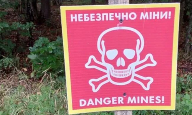 Воины нашли мину под грибом в Украине