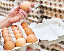 Наконец-то будем есть яичницы, омлеты и глазуньи: в Украине прогнозируют резкое падение цен на куриные яйца
