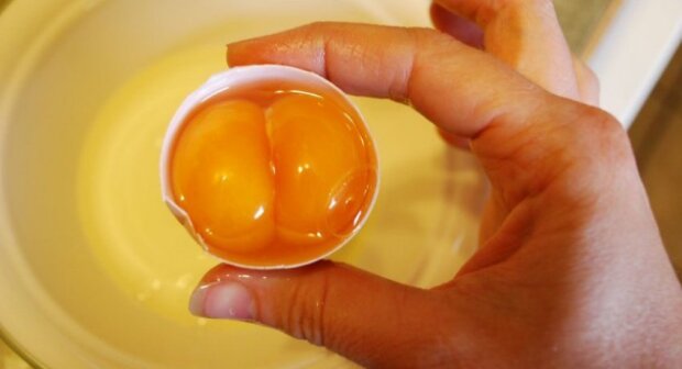 Если вам попалось яйцо с двумя желтками: что говорят приметы и чего ожидать