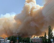 Мощнейший пожар в России: огонь подбирается к жилым домам, дым виден за километры. Фото