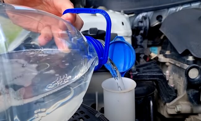 Бачок: скрін з відео