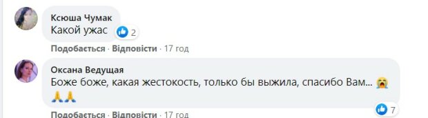 Коментар. Фото: скріншот facebook.com/dtp.kiev.ua