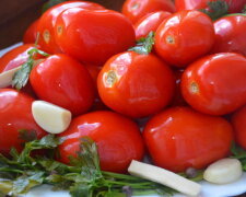 Їх закривають капроновою кришкою: рецепт маринованих помідорів по-єврейськи на зиму