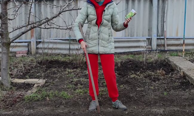 Город