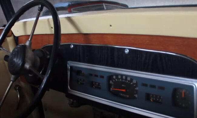 Уникальный Ягуар из Тернополя: скрин с видео