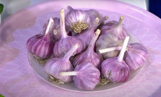 Чеснок. Фото: скриншот YouTube-видео