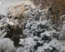 Конец зимы: в Украину ворвется жаркая весна. Даты