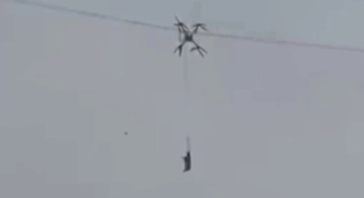 Дрон із свинею, кадр з відео