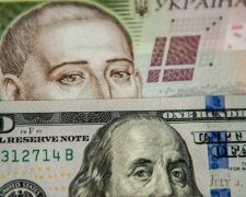 Доллар упал ниже 24 гривен: курс валют в Украине на 27 ноября
