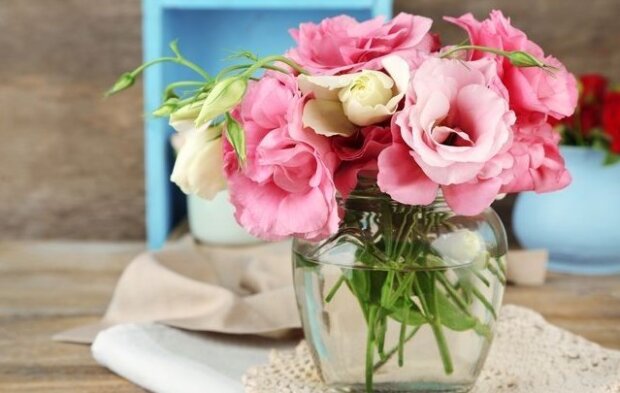 Букет стоятиме кілька тижнів: що додати у вазу, щоб квіти вас довше радували