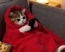 Гороскоп, зображення: Pinterest