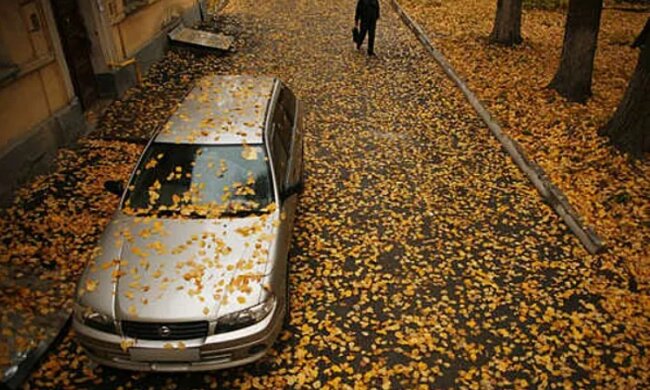 І не лише акумулятор: що може зламатися в машині, якщо ви на ній довго не їздите