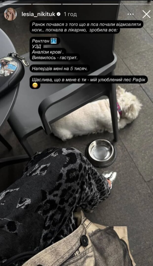 Сториз Леси Никитюк