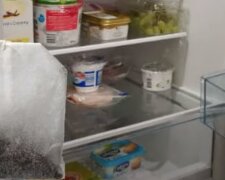Чайний пакетик у холодильнику: скрін з відео
