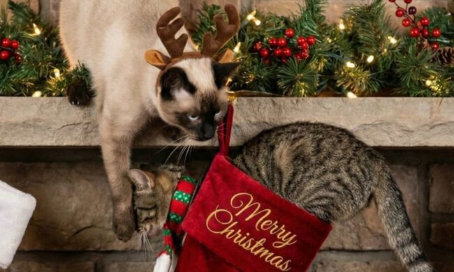 Новий рік, фото: Pinterest