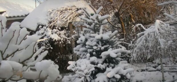 Конец зимы: в Украину ворвется жаркая весна. Даты