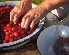 Как приготовить настоящую вишневую наливку. Нежная и расслабляющая. Старинный рецепт