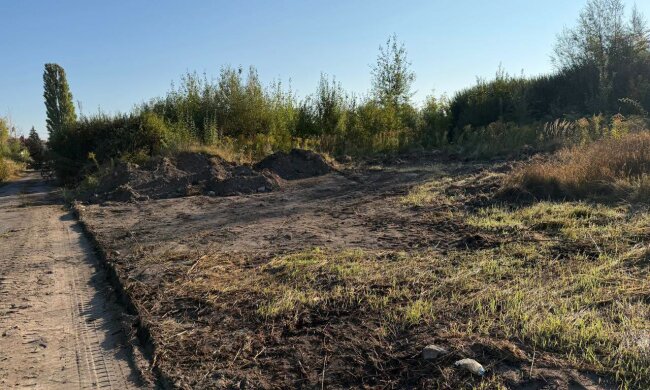 Сміття прибрали, але осад залишився: хроніка боротьби за чисту територію в Житомирі