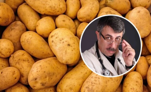 Доктор Комаровский о картошке