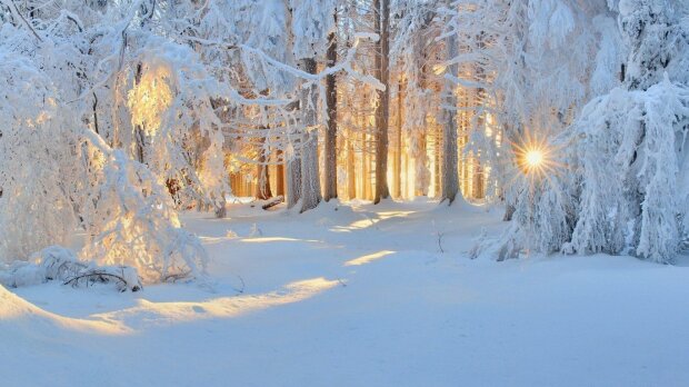 Зима, фото: скриншот You Tube