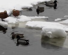 Резкое похолодание и первый снег: синоптики предупредили об ухудшении погоды. Доставайте шубы
