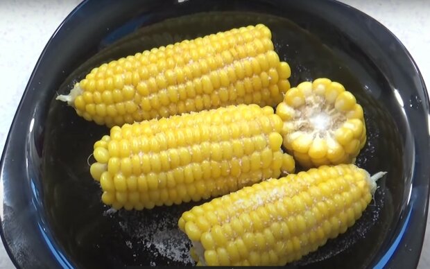Отделяем зерна кукурузы от початка