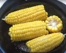 Кукуруза.  Фото: скриншот YouTube-видео
