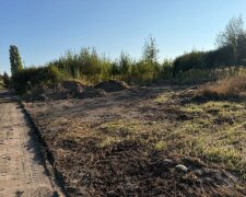 Сміття прибрали, але осад залишився: хроніка боротьби за чисту територію в Житомирі