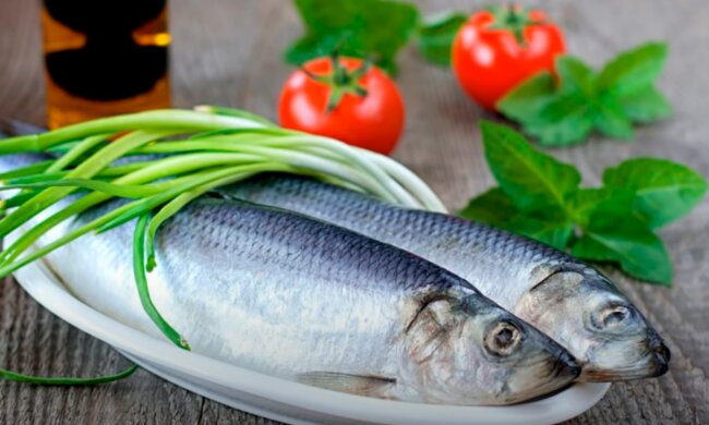 Сельдь. Скриншот с видео на Youtube