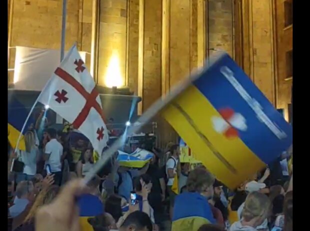 Спасибо, братья! Как в Тбилиси празднуют День Независимости Украины. Мощное видео