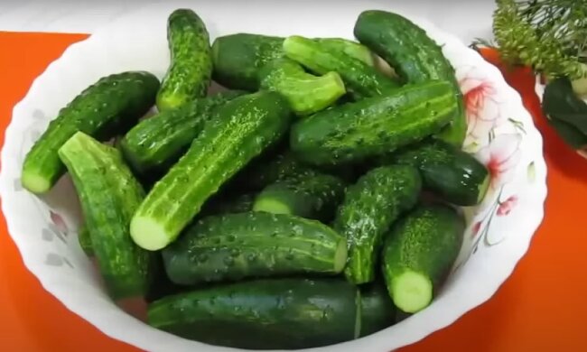 В магазин можно не ходить: как вырастить хрустящие и сладкие огурчики на подоконнике