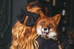 Гороскоп, изображение: Pinterest