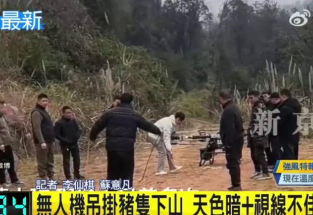 Дрон із свинею, кадр з відео