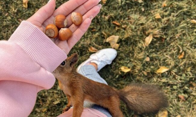 Гороскоп, изображение: Pinterest