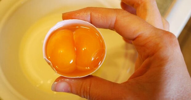 Яйцо с двумя желтками. Фото: YouTube