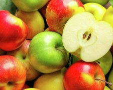Разные по цвету яблоки, фото: youtube.com