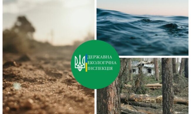 Екологічний контроль західного зразка в Україні: від каральної концепції до попередження та усунення негативних наслідків