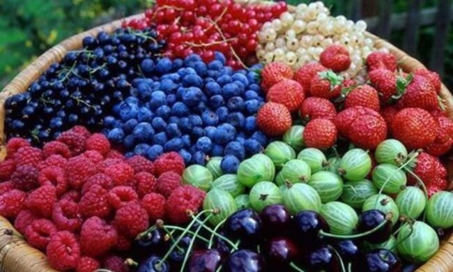 Ягоды