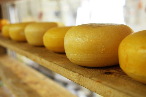 Твердый сыр, фото: pixabay.com