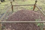 Компост, кадр из видео