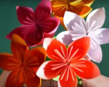 Цветы: скрин с видео