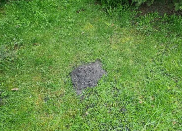 Кроти, город, кадр з відео