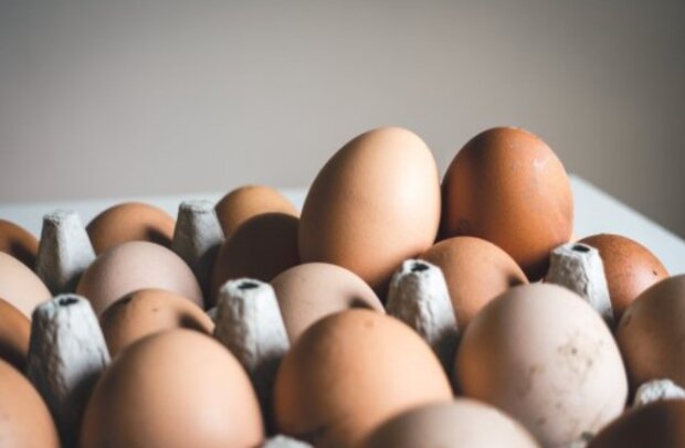 Вы удивитесь, сколько денег можно сэкономить: как правильно заморозить яйца, чтобы сделать хорошие запасы