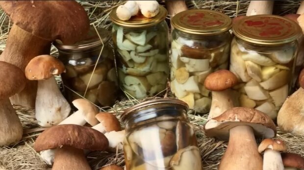 Идеальный маринад для белых грибов: секрет, которым пользовались наши бабушки
