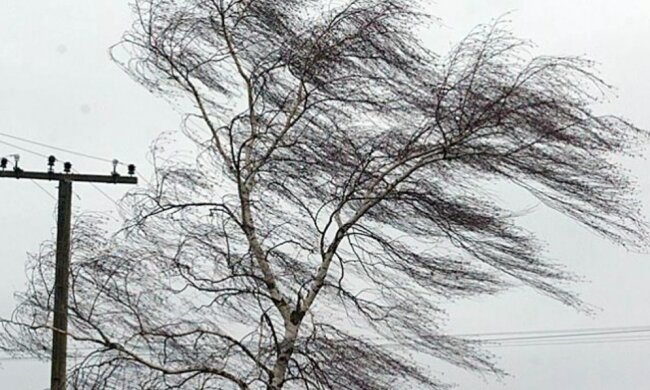 Ветер, фото: скриншот You Tube